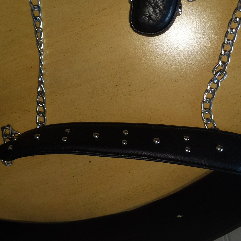 Hard Rock Mary Frances Leather Cross Body Guitar Bag 🎉HP🎉 - Picture 6 of 12